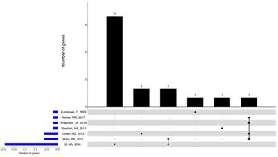 Do Genetic Polymorphisms Affect Fetal Hemoglobin (HbF) Levels in Patients With Sickle Cell Anemia Treated With Hydroxyurea? A Systematic Review and Pathway Analysis